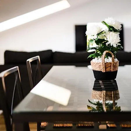 Mansarda Belli ראבנה